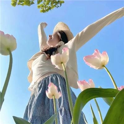 维多利亚瀑布事件