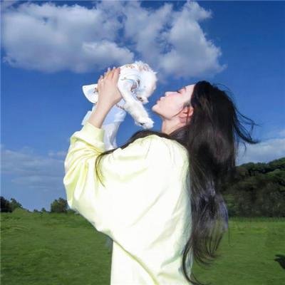 夜凛神探第一季